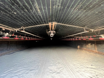 4 House Broiler Farm with Residence for Sale Downsville, LA - image 17