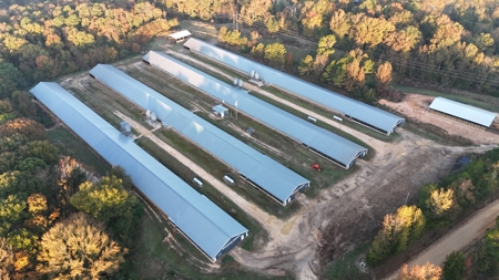 4 House Broiler Farm with Residence for Sale Downsville, LA - image 2