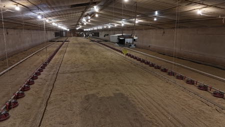 4 House Broiler Farm with Residence for Sale Downsville, LA - image 14