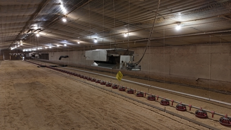 4 House Broiler Farm with Residence for Sale Downsville, LA - image 15