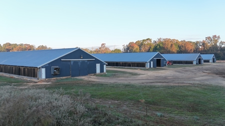 4 House Broiler Farm with Residence for Sale Downsville, LA - image 5