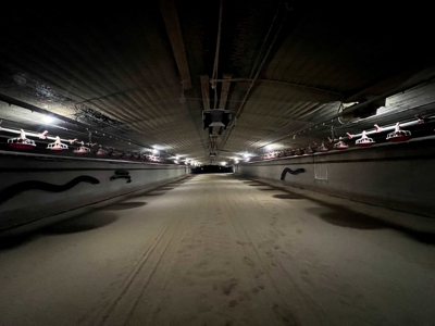 4 House Broiler Farm with Residence for Sale Downsville, LA - image 18