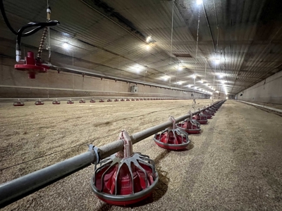 4 House Broiler Farm with Residence for Sale Downsville, LA - image 10