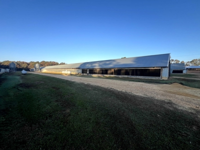 4 House Broiler Farm with Residence for Sale Downsville, LA - image 40