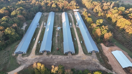 4 House Broiler Farm with Residence for Sale Downsville, LA - image 1