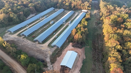 4 House Broiler Farm with Residence for Sale Downsville, LA - image 3