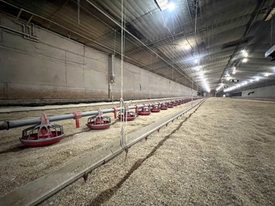 4 House Broiler Farm with Residence for Sale Downsville, LA - image 11