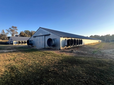 4 House Broiler Farm with Residence for Sale Downsville, LA - image 31