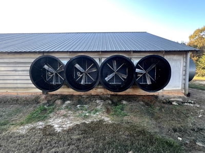 4 House Broiler Farm with Residence for Sale Downsville, LA - image 29