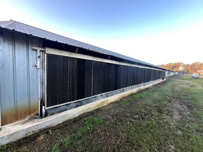 4 House Broiler Farm with Residence for Sale Downsville, LA - image 20