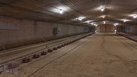 4 House Broiler Farm with Residence for Sale Downsville, LA - image 16