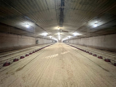 4 House Broiler Farm with Residence for Sale Downsville, LA - image 9