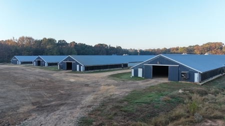 4 House Broiler Farm with Residence for Sale Downsville, LA - image 7