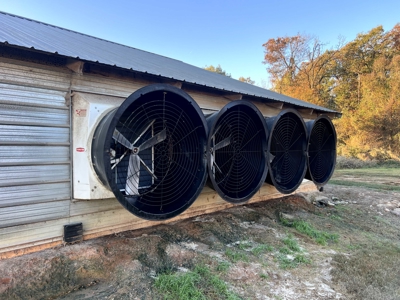 4 House Broiler Farm with Residence for Sale Downsville, LA - image 28