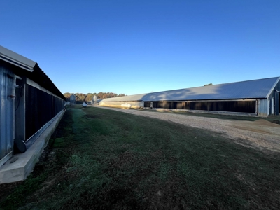 4 House Broiler Farm with Residence for Sale Downsville, LA - image 41