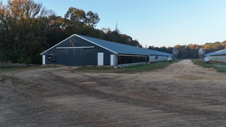 4 House Broiler Farm with Residence for Sale Downsville, LA - image 4