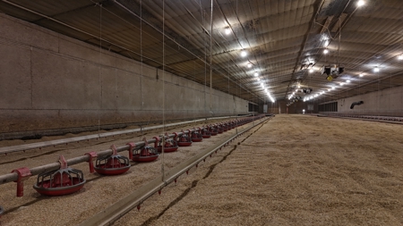 4 House Broiler Farm with Residence for Sale Downsville, LA - image 13