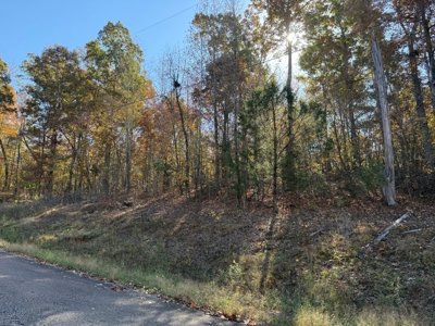 Land To Build A Home On In Hardin County Tn - image 2