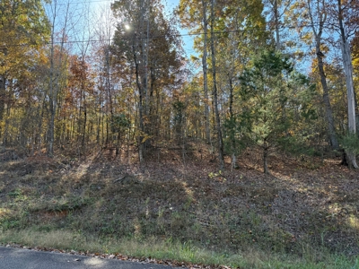 Land To Build A Home On In Hardin County Tn - image 1