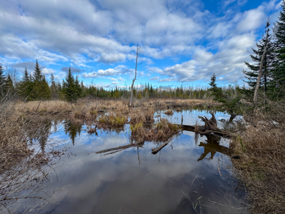 1670 Sq. Ft. Log Home on 48 Acres - Milo, Maine - image 40