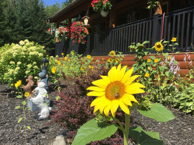 1670 Sq. Ft. Log Home on 48 Acres - Milo, Maine - image 42