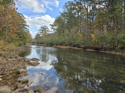 Acreage on Kiamichi River -  National Forest Area - image 1