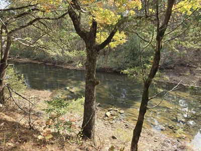 Acreage on Kiamichi River -  National Forest Area - image 3