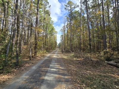 Acreage on Kiamichi River -  National Forest Area - image 7