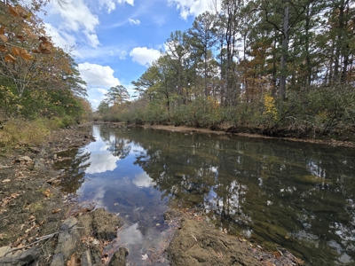 Acreage on Kiamichi River -  National Forest Area - image 14