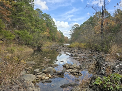 Acreage on Kiamichi River -  National Forest Area - image 12