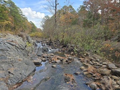 Acreage on Kiamichi River -  National Forest Area - image 10