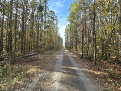 Acreage on Kiamichi River -  National Forest Area - image 8