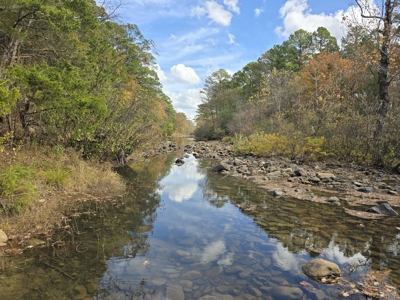 Acreage on Kiamichi River -  National Forest Area - image 13