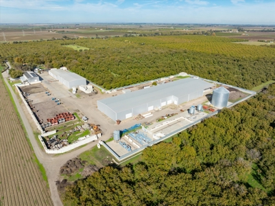 Processing Facilities & Organic Orchard, Houses For Sale in CA - image 45