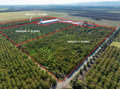 Processing Facilities & Organic Orchard, Houses For Sale in CA - image 47