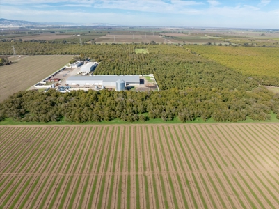 Processing Facilities & Organic Orchard, Houses For Sale in CA - image 43