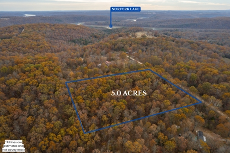 Wooded Acreage Retreat in the Missouri Ozarks | Tecumseh - image 1