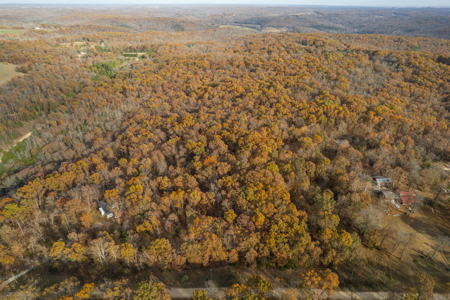 Wooded Acreage Retreat in the Missouri Ozarks | Tecumseh - image 12
