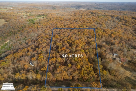 Wooded Acreage Retreat in the Missouri Ozarks | Tecumseh - image 4
