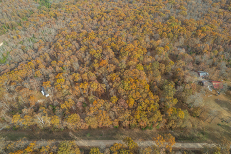 Wooded Acreage Retreat in the Missouri Ozarks | Tecumseh - image 10