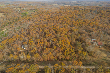 Wooded Acreage Retreat in the Missouri Ozarks | Tecumseh - image 11