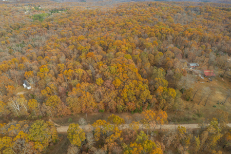 Wooded Acreage Retreat in the Missouri Ozarks | Tecumseh - image 5