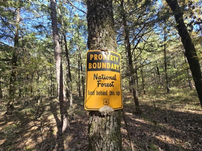 Land with Frontage to Blackfork River and National Forest - image 4