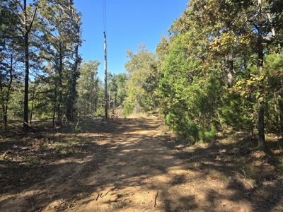 Land with Frontage to Blackfork River and National Forest - image 5