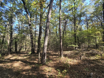 Land with Frontage to Blackfork River and National Forest - image 7