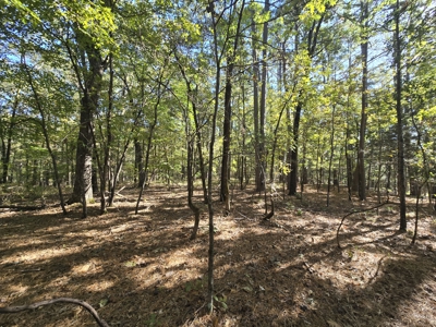 Land with Frontage to Blackfork River and National Forest - image 6