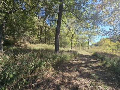 Land with Frontage to Blackfork River and National Forest - image 9