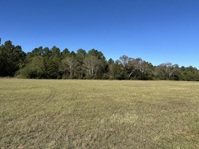 East Texas Lots For Sale (Alto, Texas) - image 1