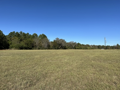 East Texas Lots For Sale (Alto, Texas) - image 3