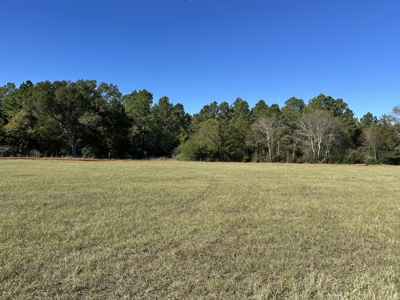 East Texas Lots For Sale (Alto, Texas) - image 2